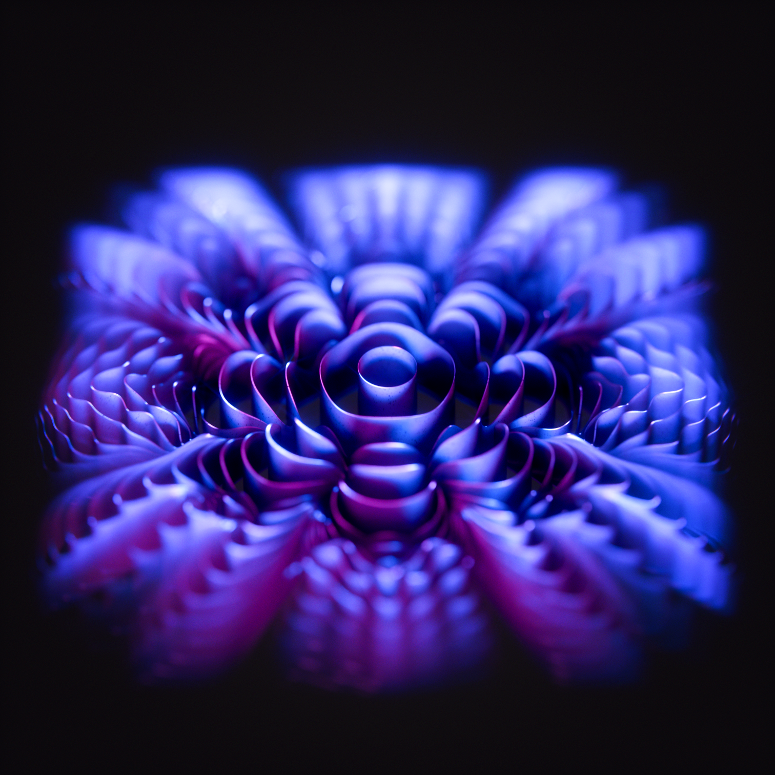 Radial field of curled blue and magenta petals on a black background